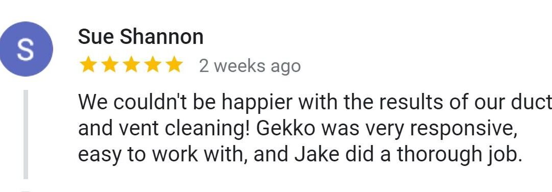 Gekko PowerClean got another 5-star review!